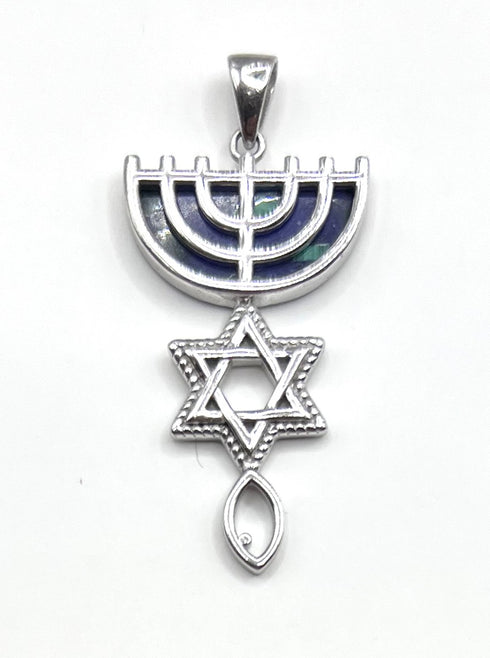 Sterling Silver With Stone of Israel Grafted In Pendant